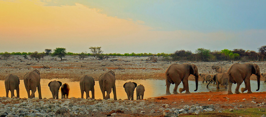Etosha National Park