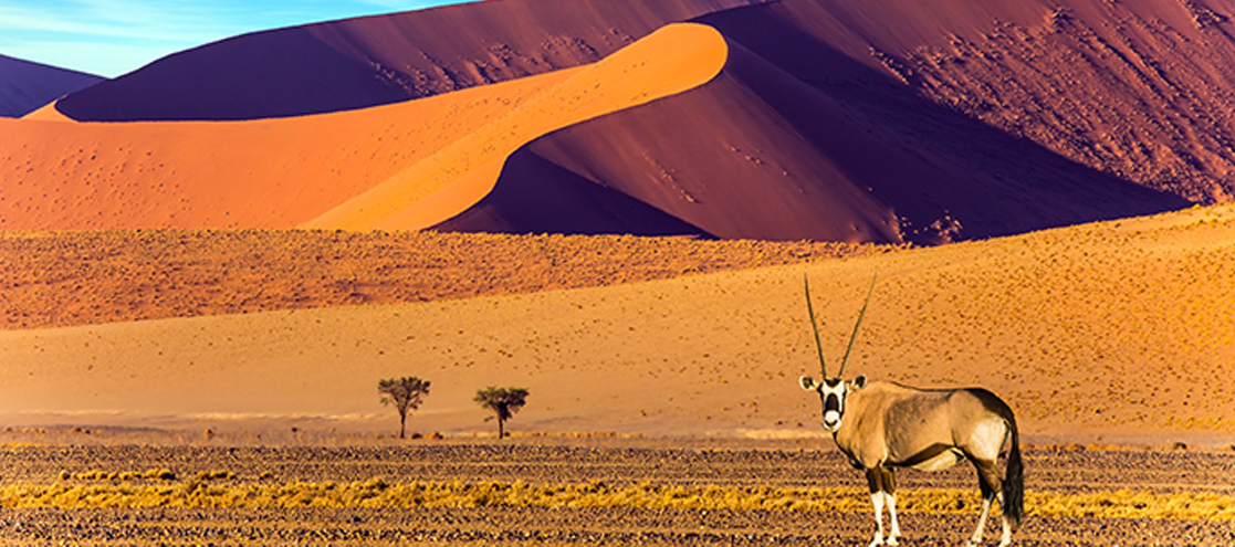Sossusvlei and Namib Desert