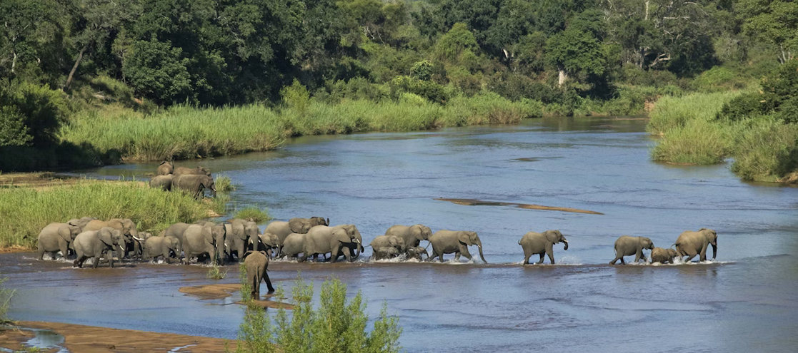 Kruger National Park