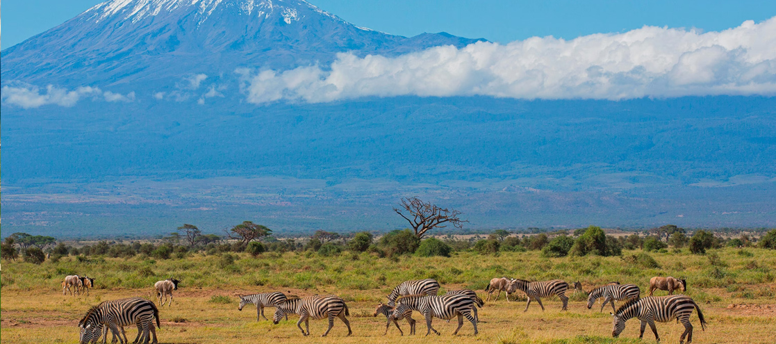 Mount Kilimanjaro – Africa’s Highest Peak