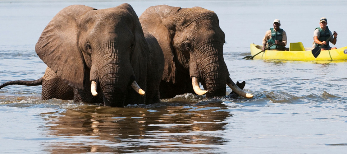 Lower Zambezi National Park